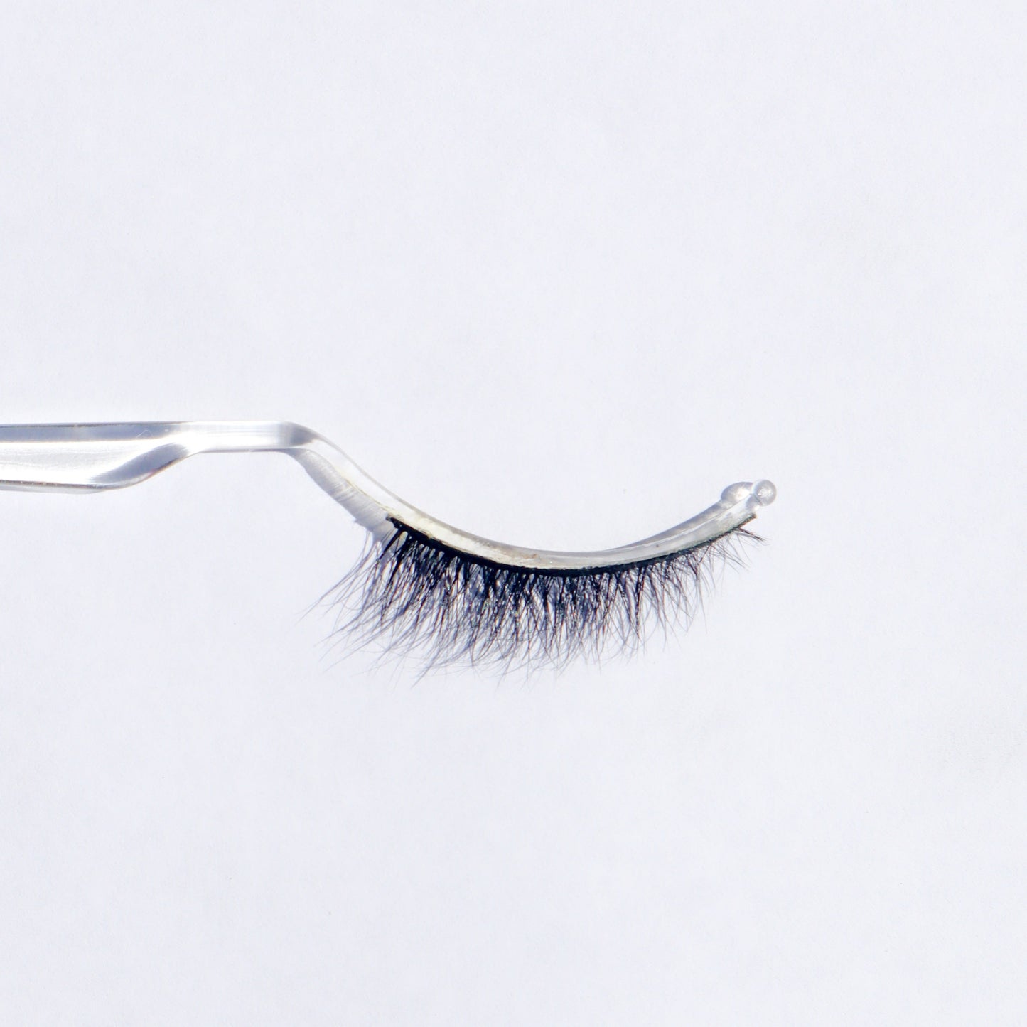 Zaé False Lashes