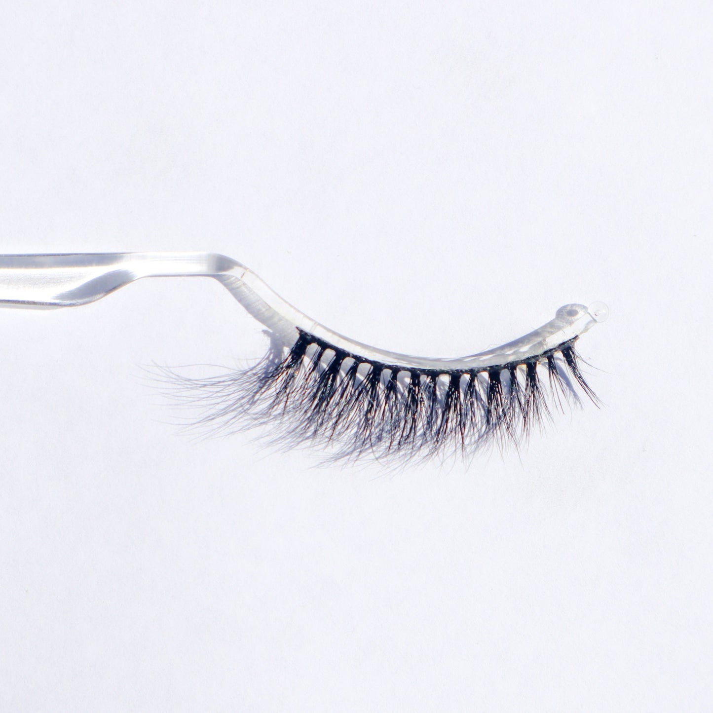 Zara False Lashes